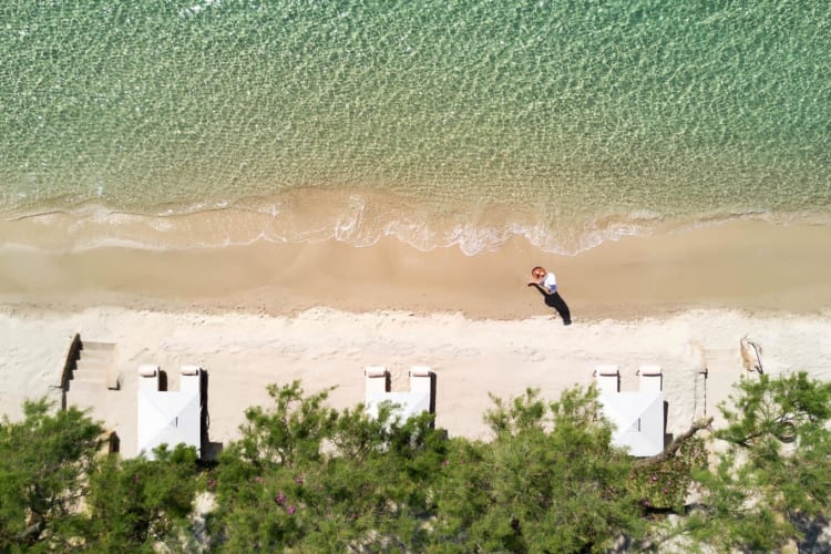 Aerial view of beach